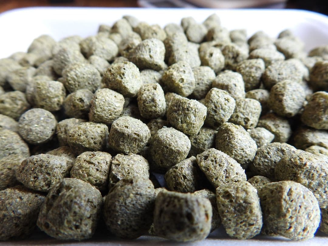 【アヒル用総合飼料】オリエンタル酵母工業MS10kg