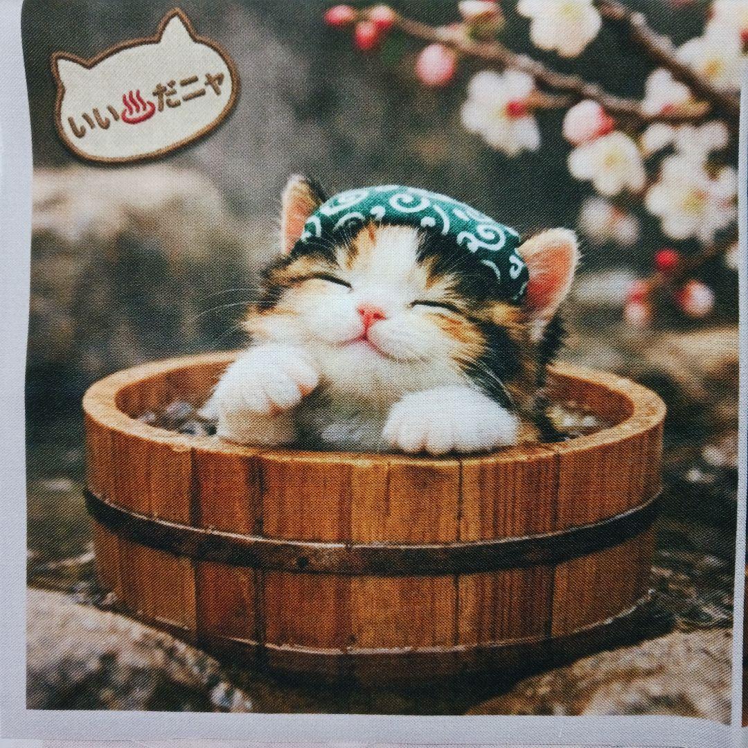 ご予約受付ページ　猫パネル