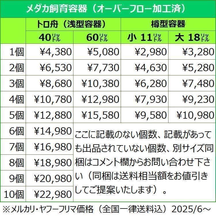 メダカ飼育ケース 40㍑x3個 オーバーフロー対策済 トロ舟 金魚飼育容器