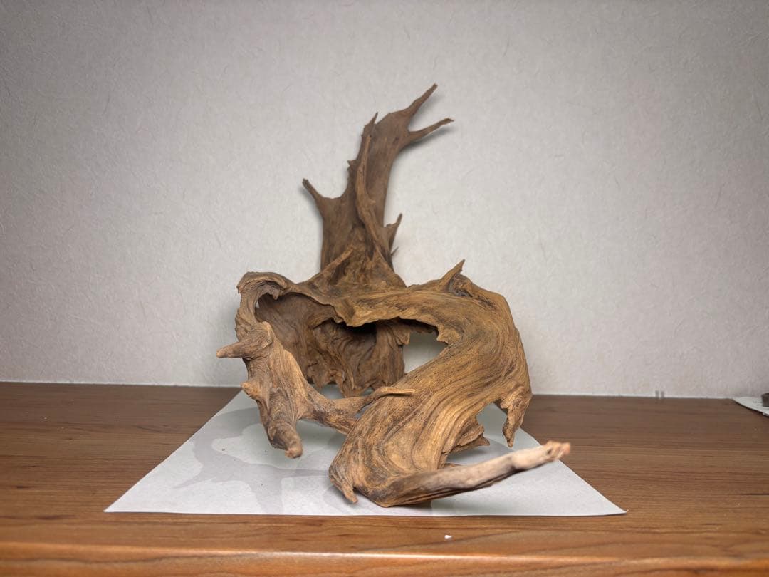 天然流木 約45cm x 30cm x 20cm