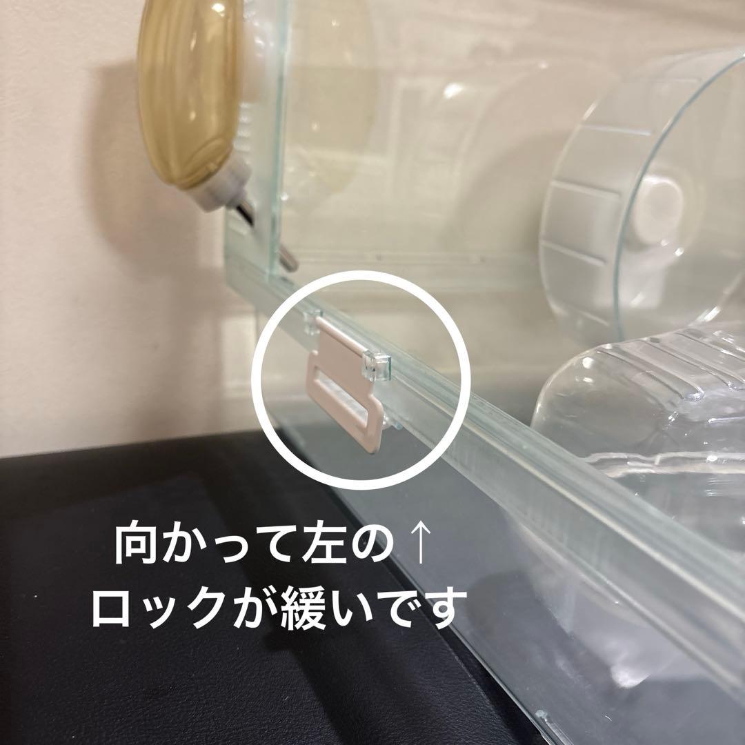 GEX グラスハーモニー　マルチ600 飼育セット