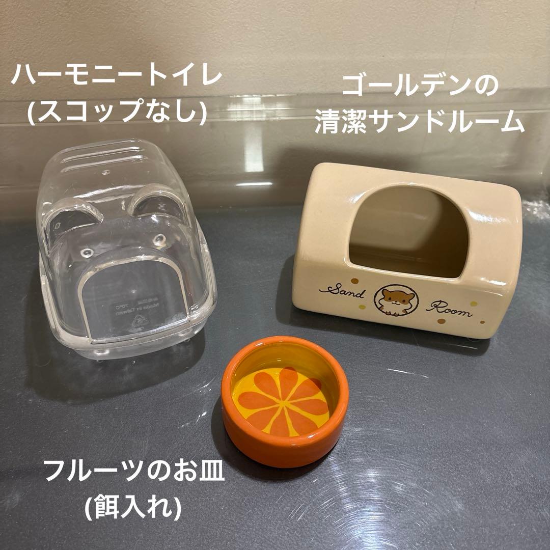 GEX グラスハーモニー　マルチ600 飼育セット