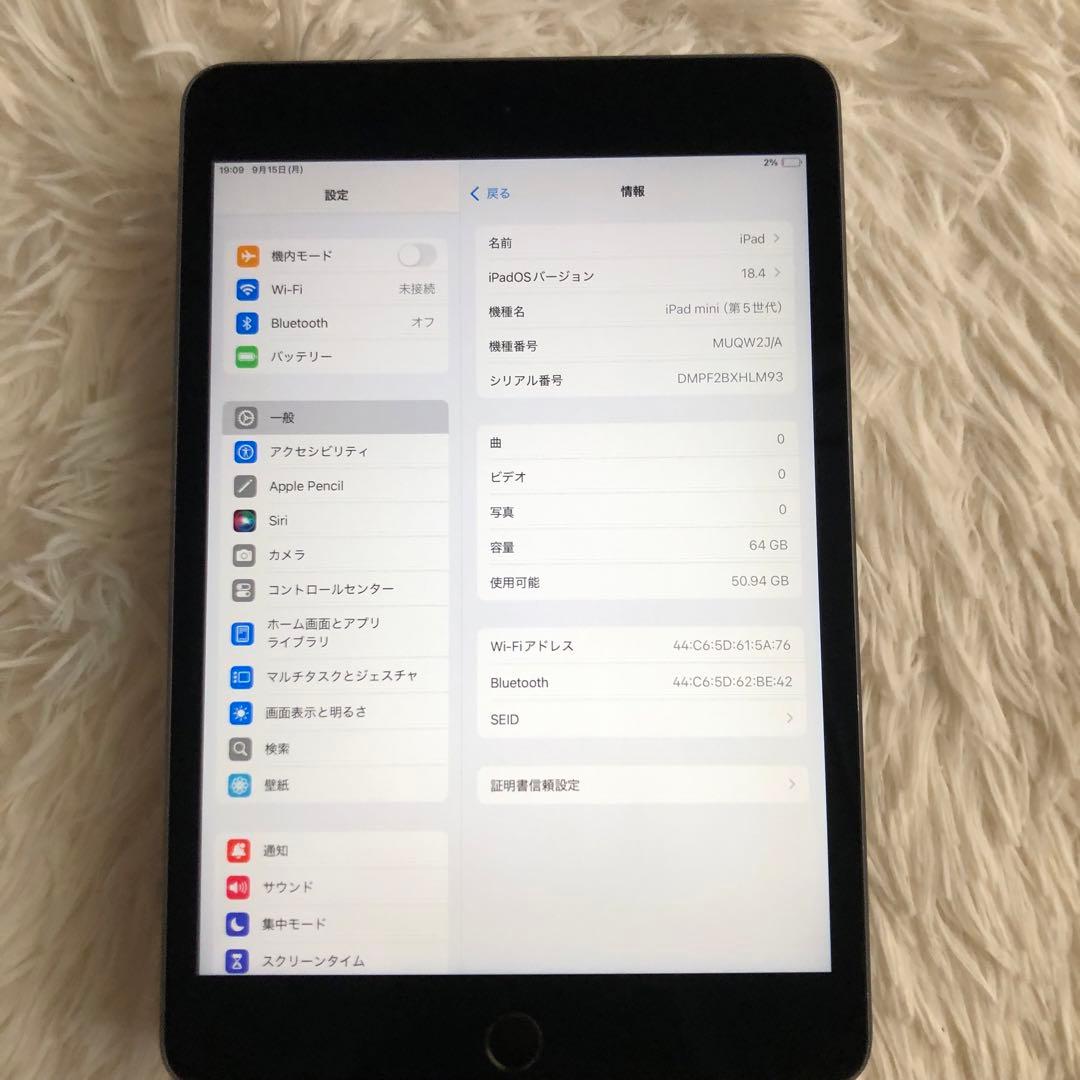 【11/15販売終了】iPad mini5 64GB 【すぐ発送】