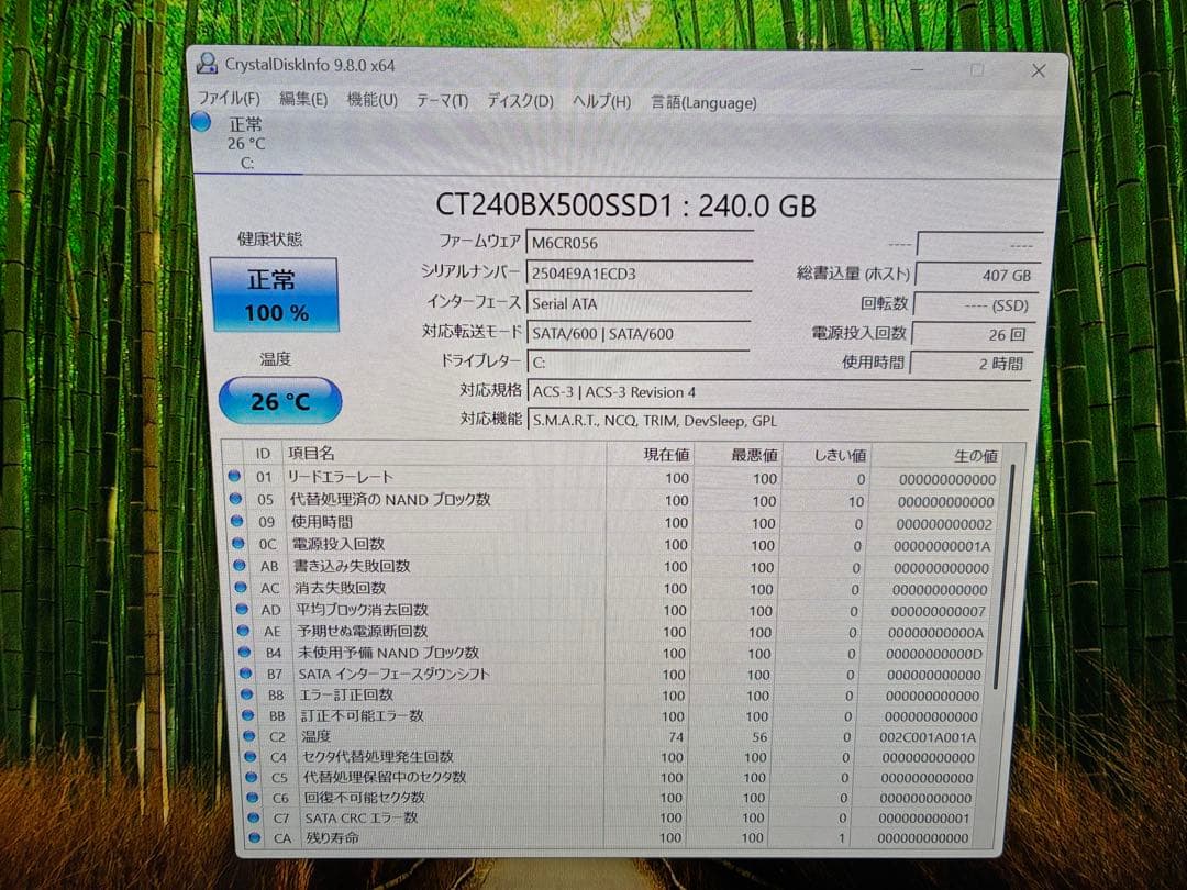 合計480GB 240GBx2 Crucial SSD SATA