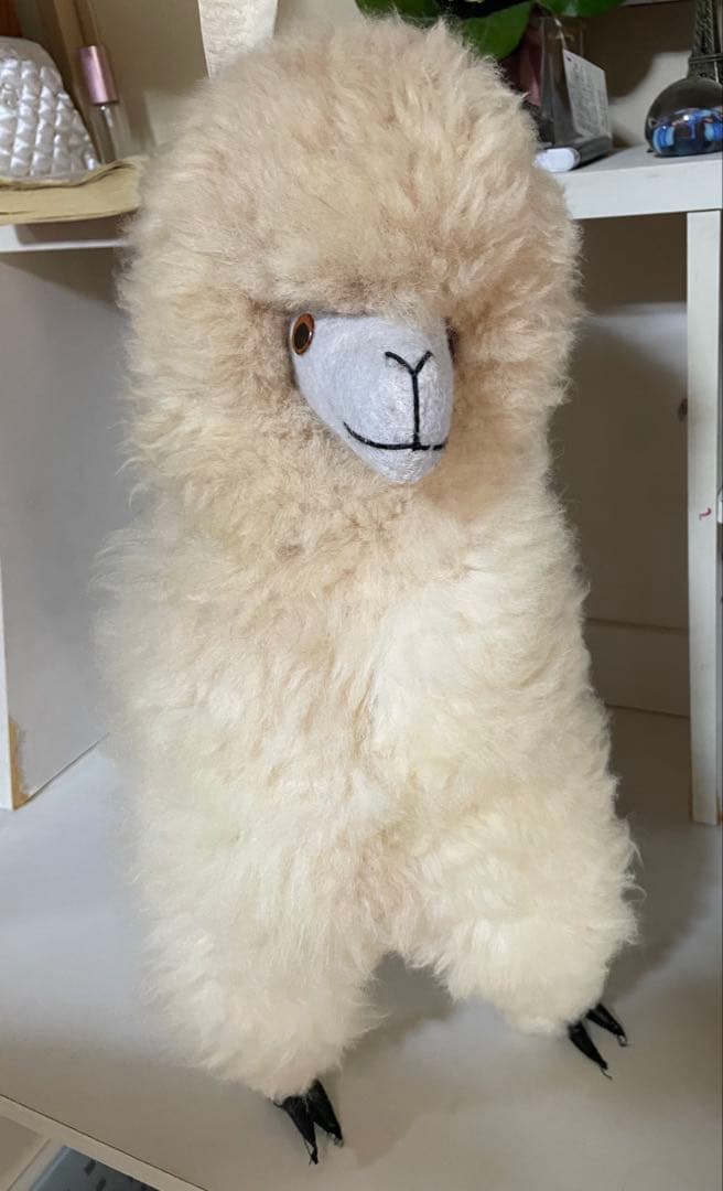 クリームアルパカ ぬいぐるみ アルパカ原毛 ペルー製 60cm ふわふわの毛並