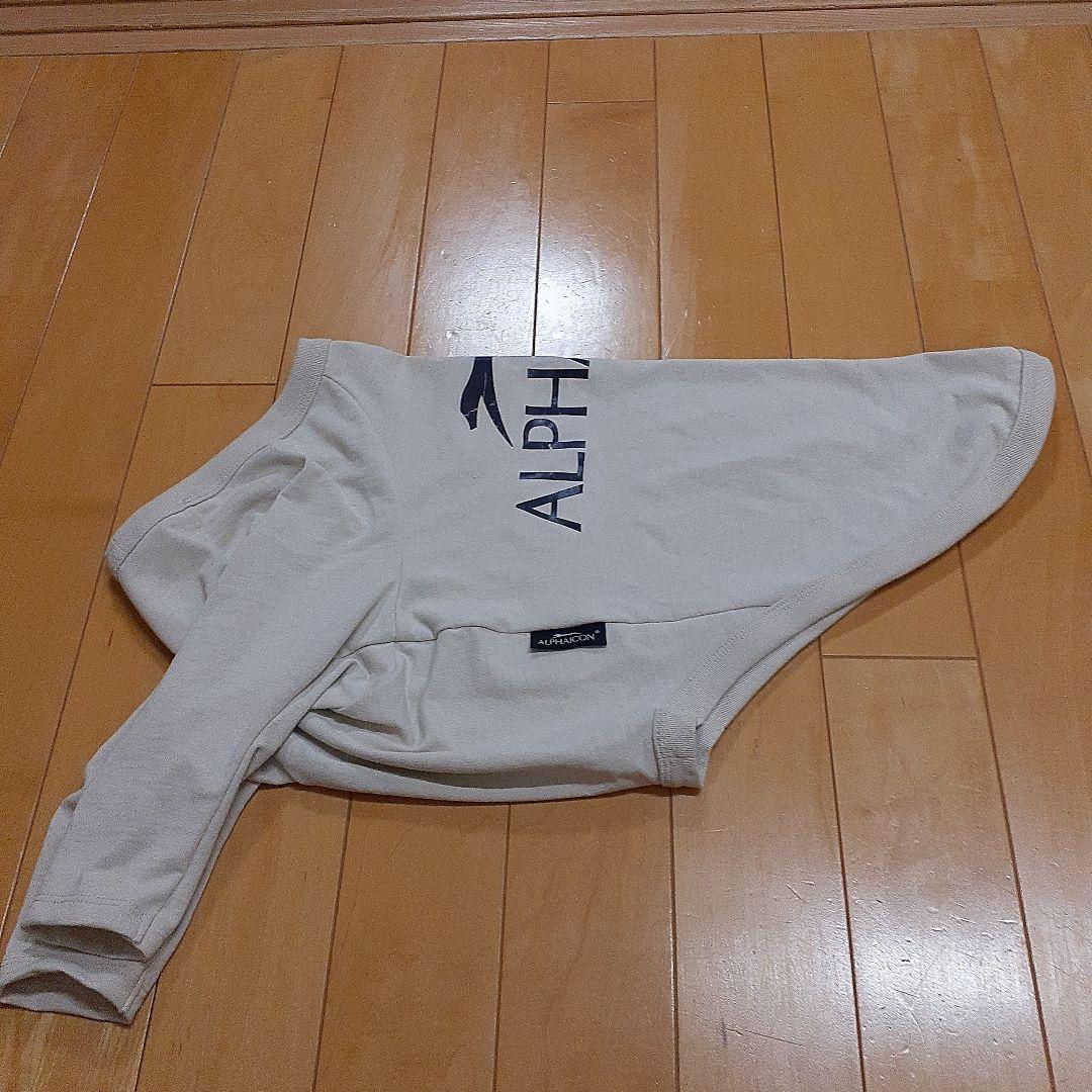 ALPHAICON DRYKNITTEE ドライニットティー