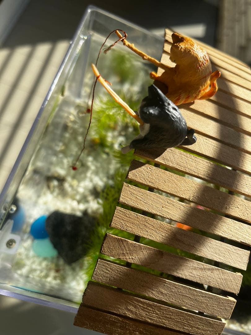 小型アクリル水槽と白いスタンド、猫のオブジェ