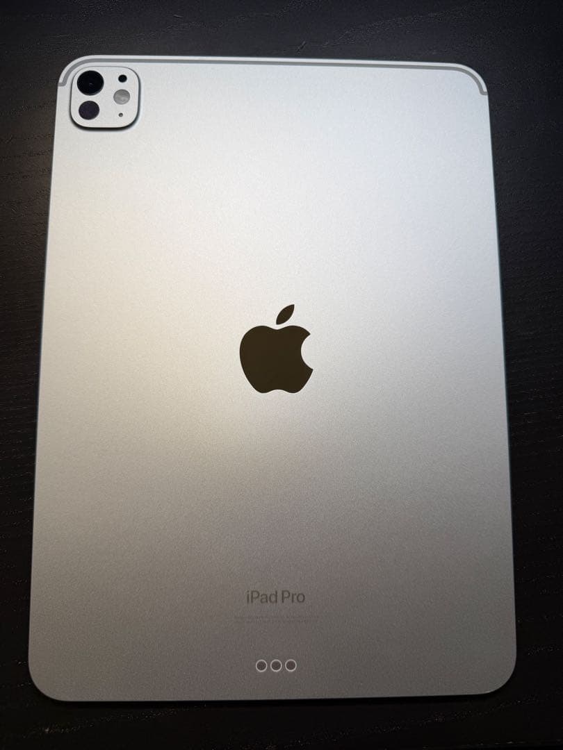 すふぃん　iPad Pro 11インチ M4 シルバー 256GB