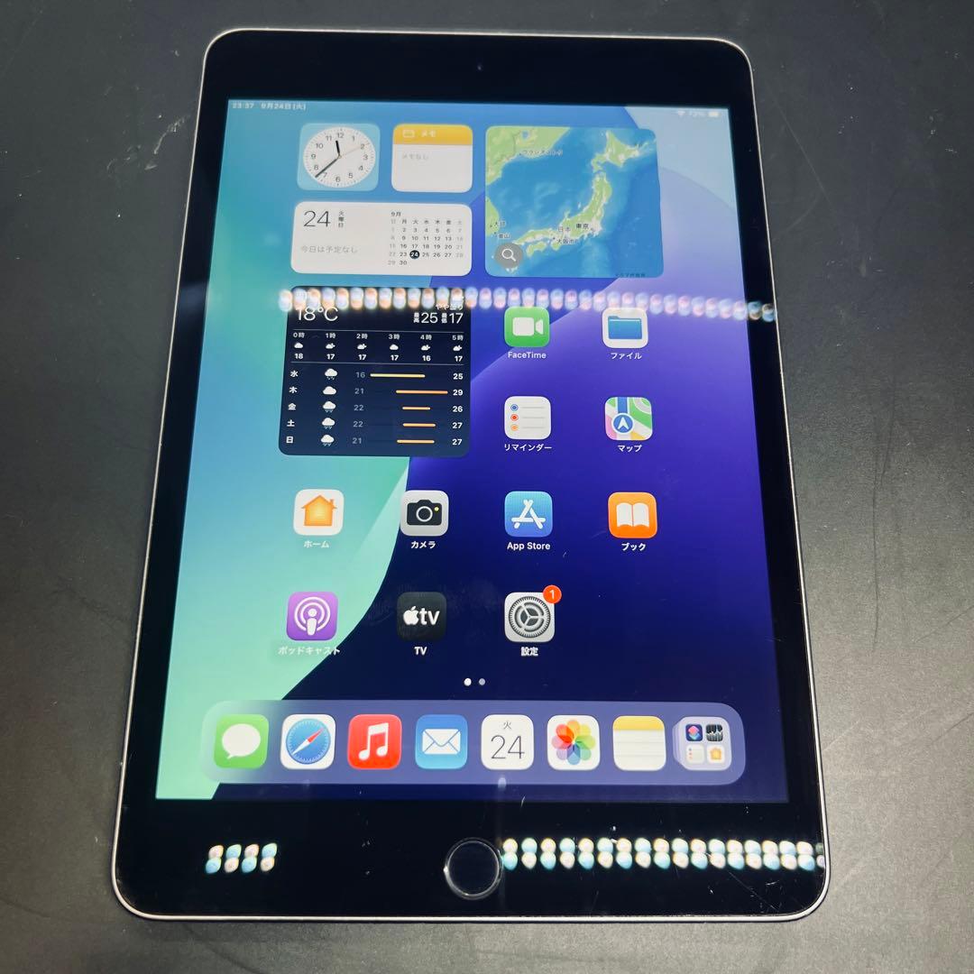 【Wi-Fiモデル】iPad mini 第5世代 mini5 本体 動作確認済み