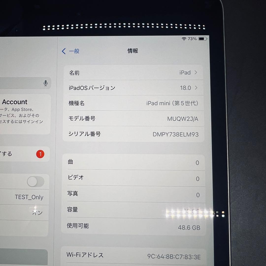 【Wi-Fiモデル】iPad mini 第5世代 mini5 本体 動作確認済み
