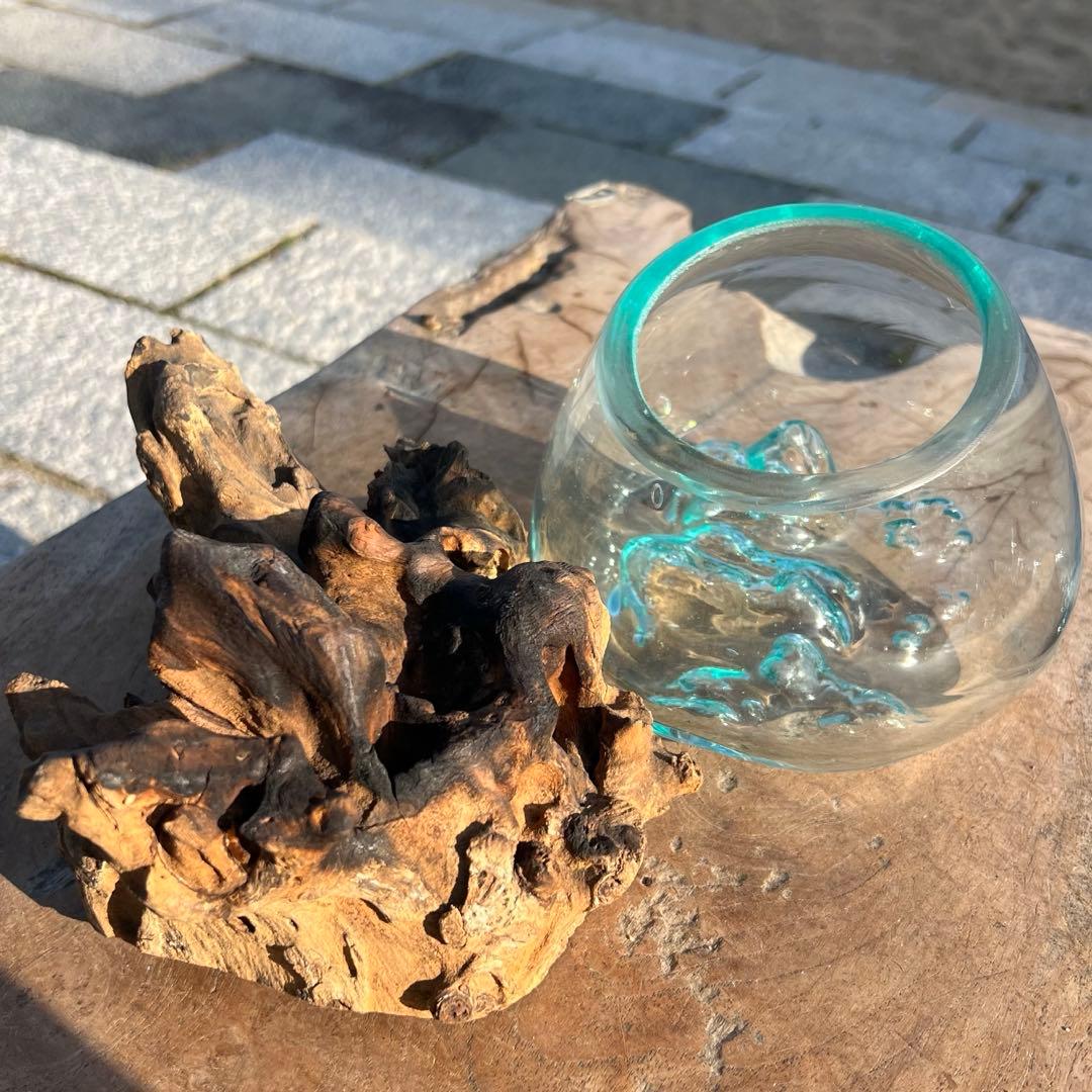 流木ガラスオブジェXSQ 花瓶 金魚鉢 ガーデニング テラリウム 観賞魚 容器