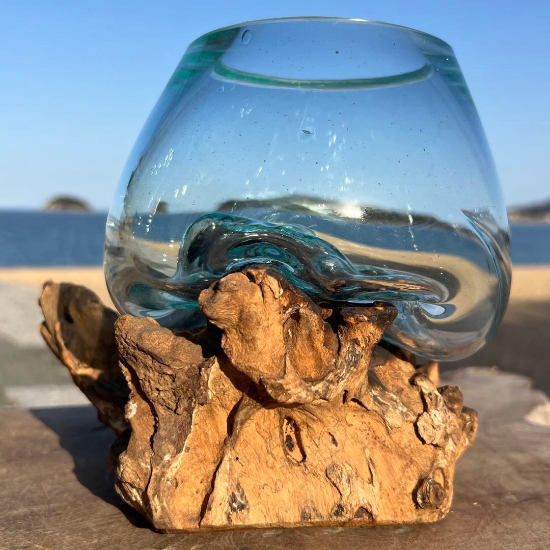 流木ガラスオブジェXSQ 花瓶 金魚鉢 ガーデニング テラリウム 観賞魚 容器