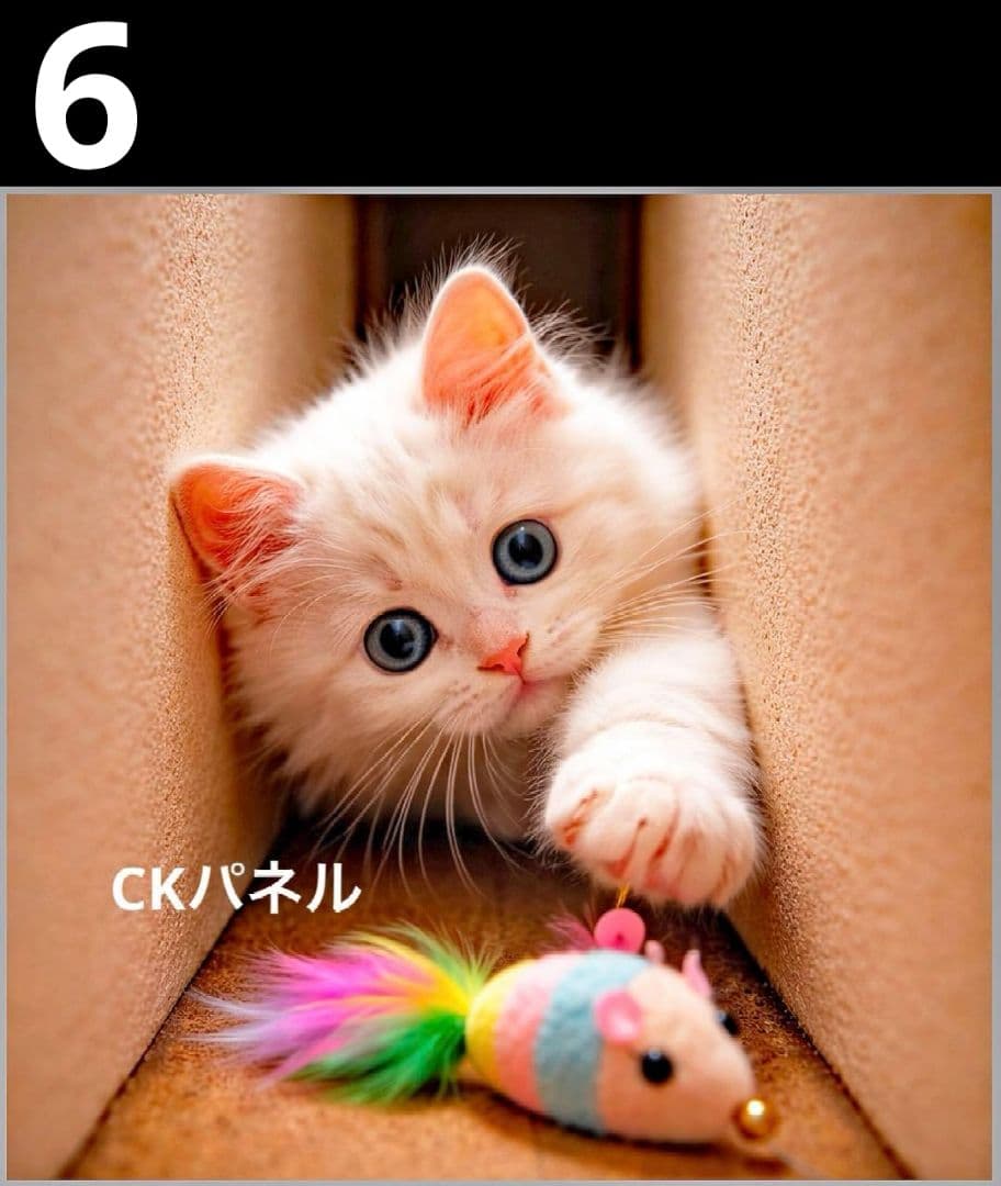 オーダーページ　ハンカチ590 にゃんこ柄　ハンドメイド3/10