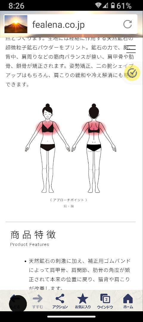 ぼーちゃん新品未使用箱付き　フェレナ肩甲骨インナー3L 26,400円の品