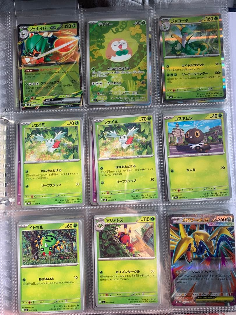 ポケカ まとめ売り SAR1/SR5/AR5/RR8/R12 ジガルデ メイ