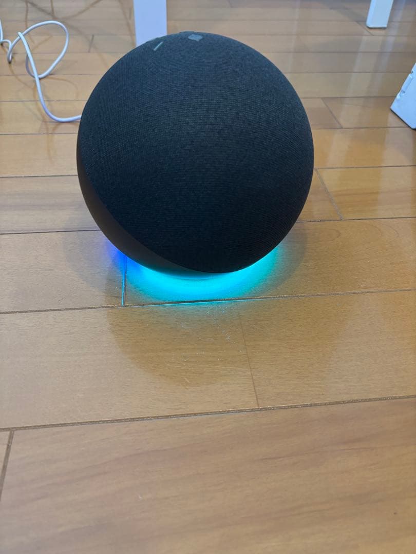 Echo 第4世代 チャコール