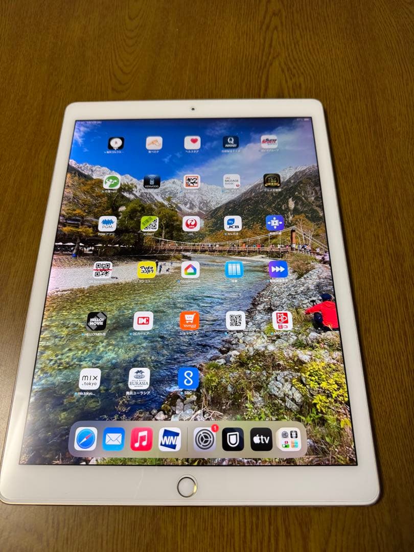 【美品】iPad Pro 12.9インチ 512GB ゴールド 第二世代