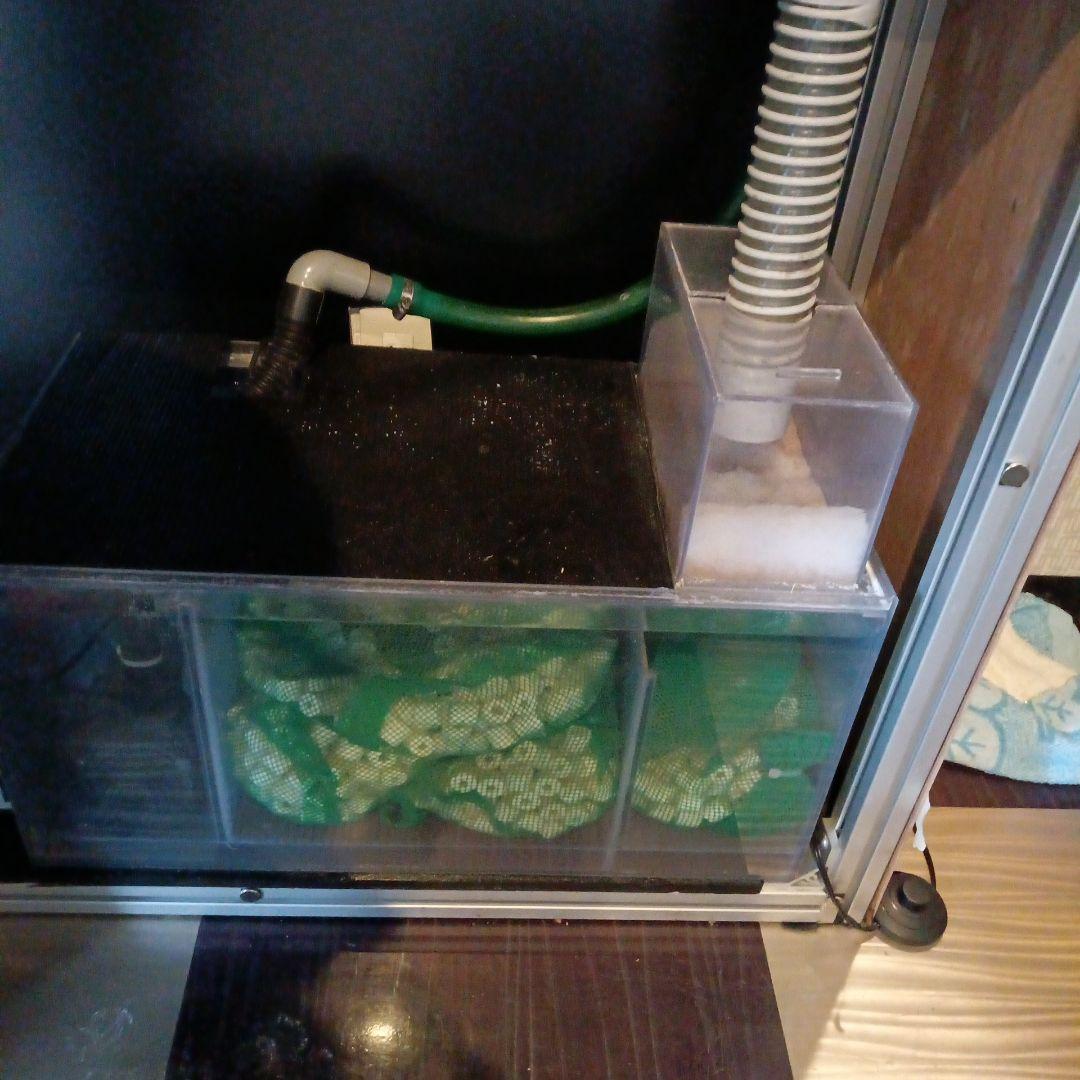 大型アクリル水槽 淡水水槽 150cm