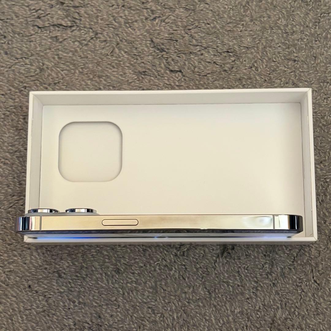 iPhone14 Pro シルバー本体 ジャンク品 256GB
