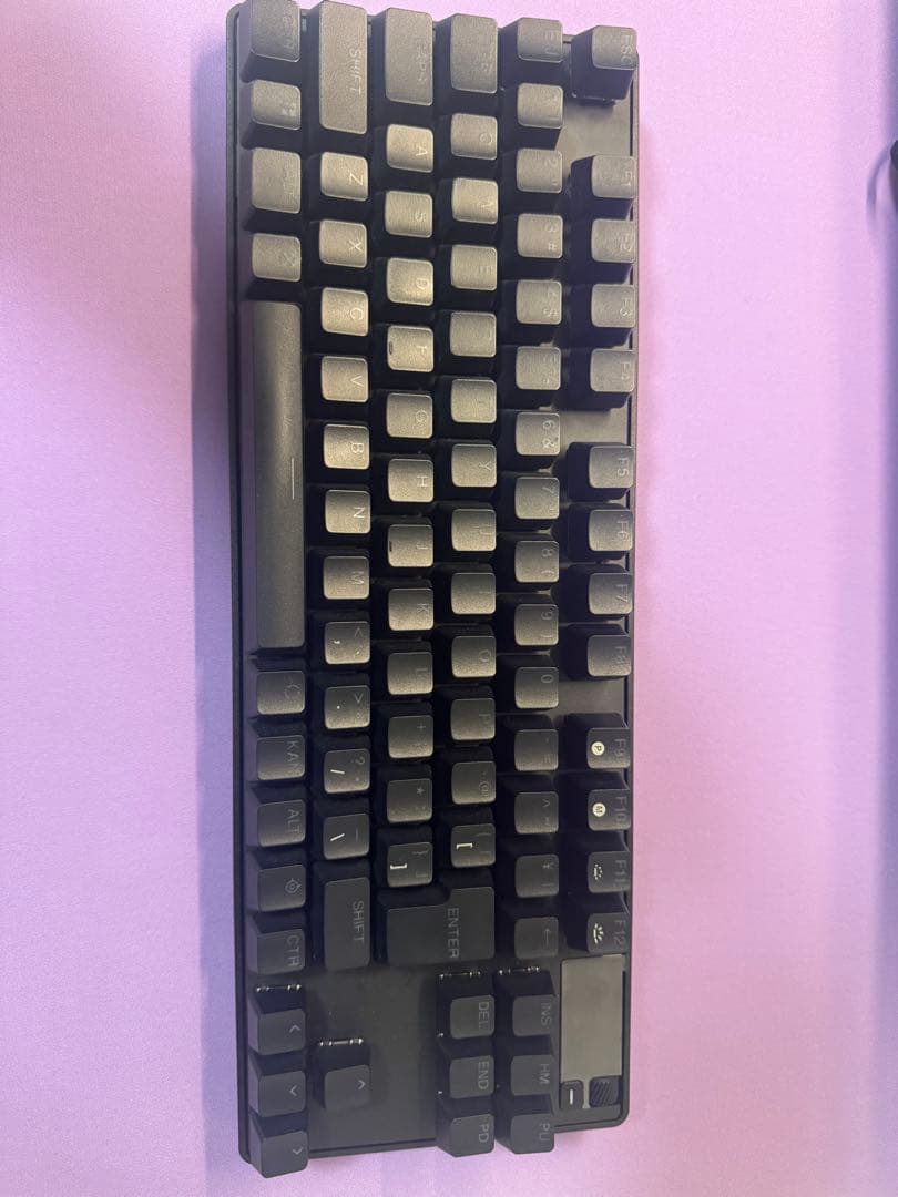 こ*こ様 SteelSeries APEX PRO TKL テンキーレスキーボー