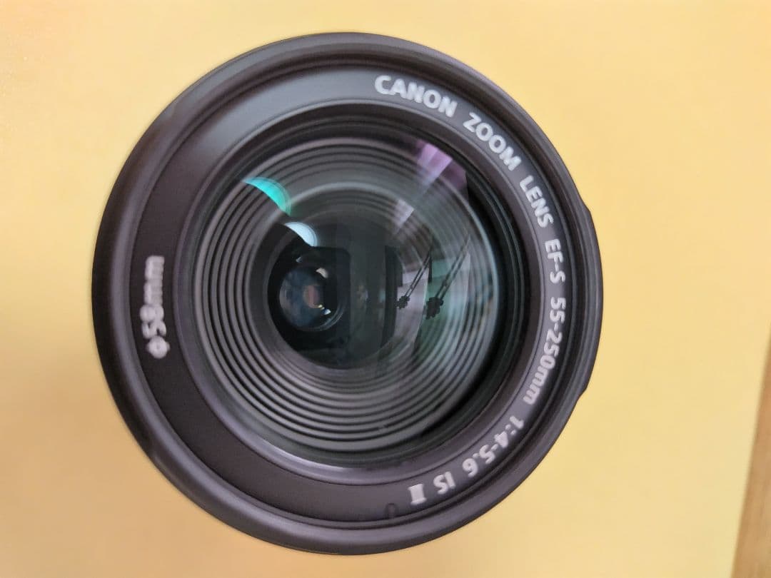 Canon ズームレンズ EF-S 55-250mm f/4-5.6 IS II