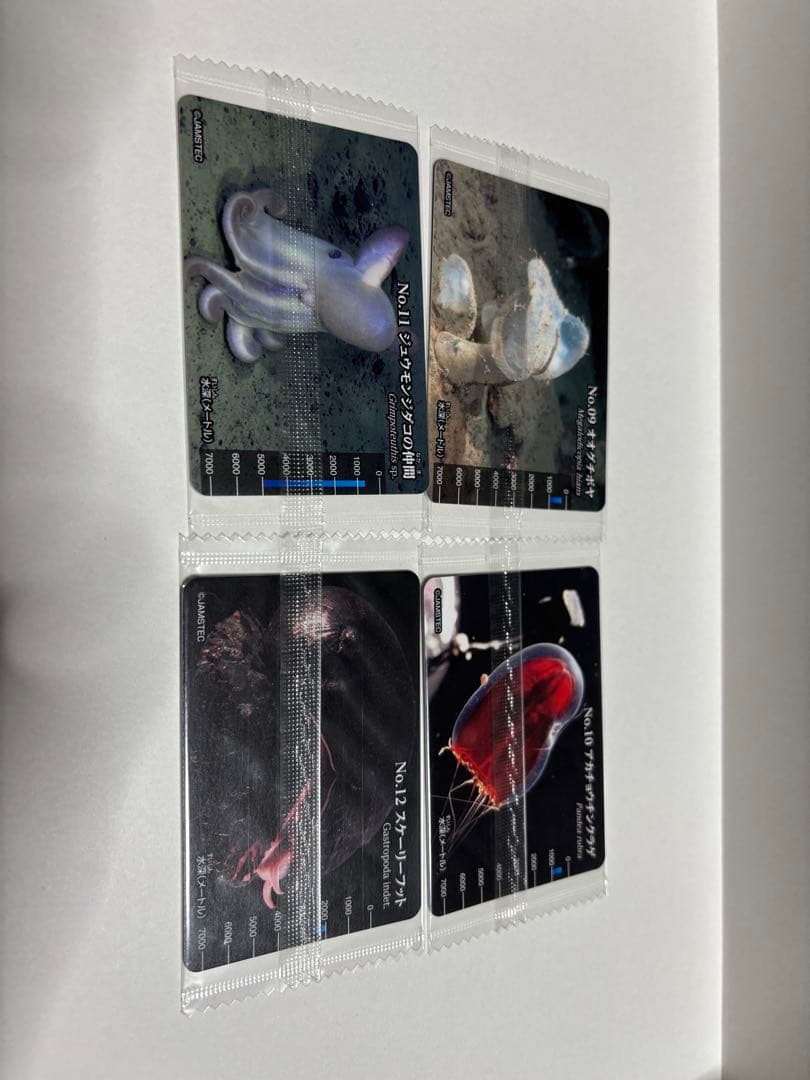 深海魚フルコンプ19種生物図鑑グミカード