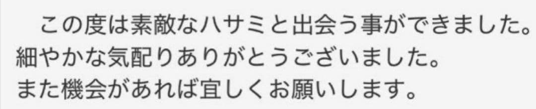 ナルトNBAA同様斜度有セニングシザー理美容師ハサミ＋トリマートリミングペット可