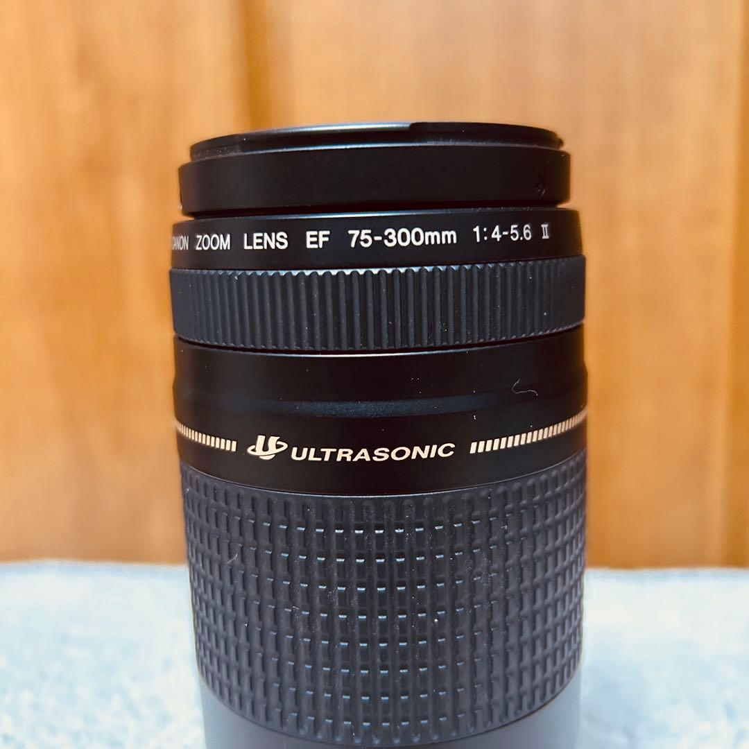 Canon EF 75-300mm 4-5.6 II USM 超望遠レンズ