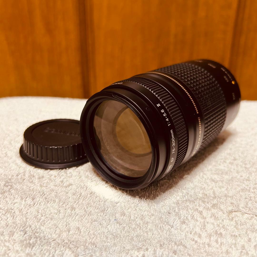 Canon EF 75-300mm 4-5.6 II USM 超望遠レンズ