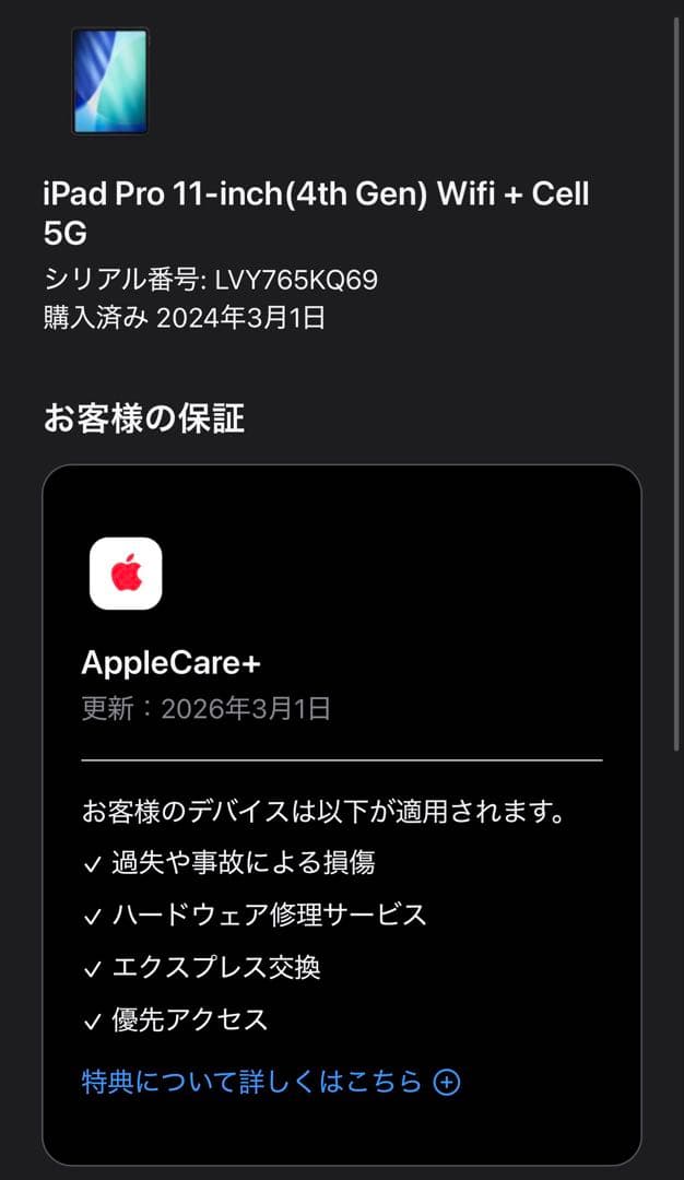 iPad Pro 11インチ 第4世代 256GB セルラー シルバー