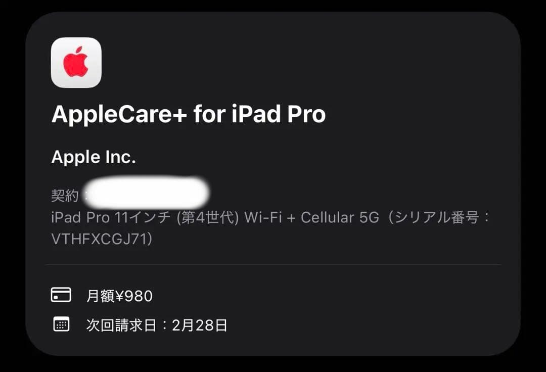 iPad Pro 11インチ 第4世代 256GB セルラー シルバー
