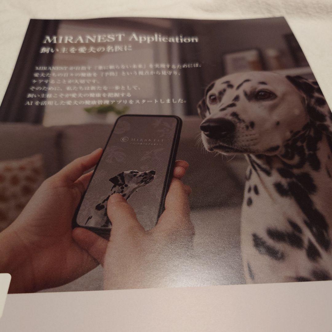 ミラネストゼリースティック　FOR DOG 12g×14本シャンプーサンプル