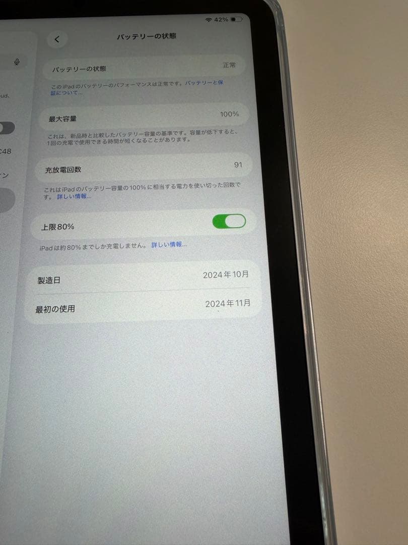 Apple iPad mini ブルー 本体 256GB バッテリー容量100%