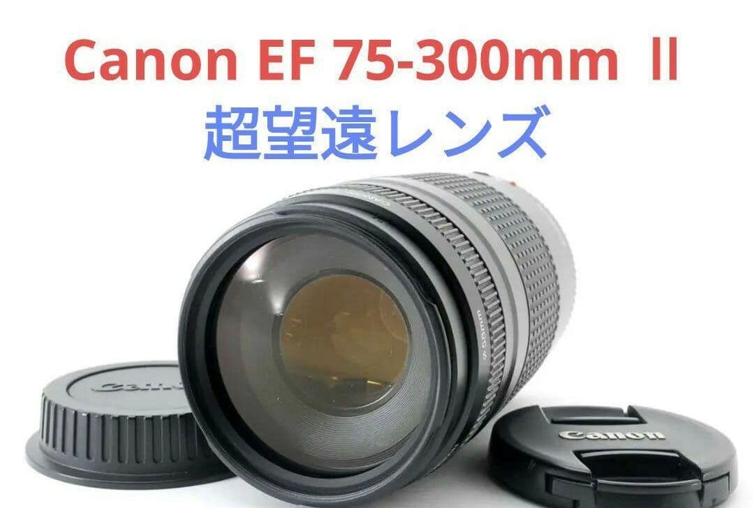 2月27日限定特価【超望遠レンズ】Canon EF 75-300mm Ⅱ