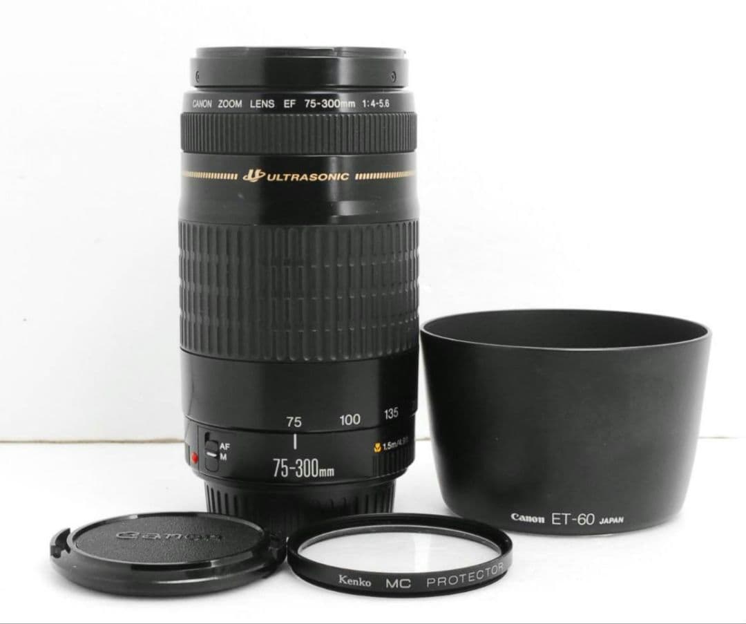 Canon EF 75-300mm F4-5.6 USM⭐️超望遠レンズ