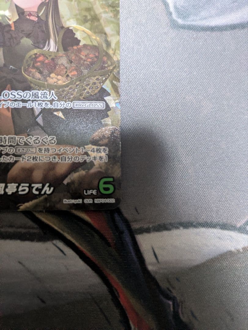 ホロカ