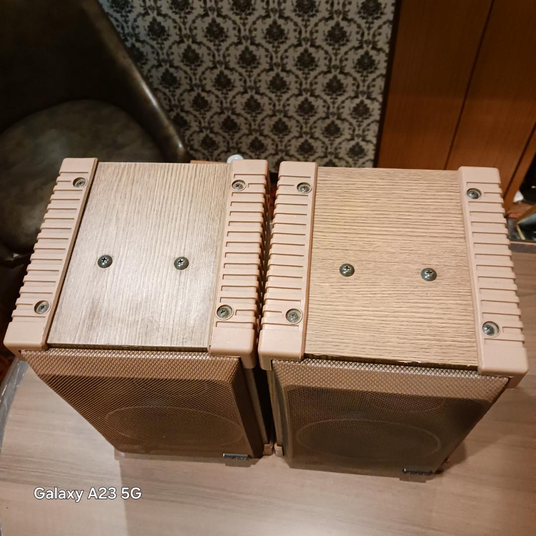 DIATONE A-301 業務用スピーカー 音出し確認済 ビンテージ