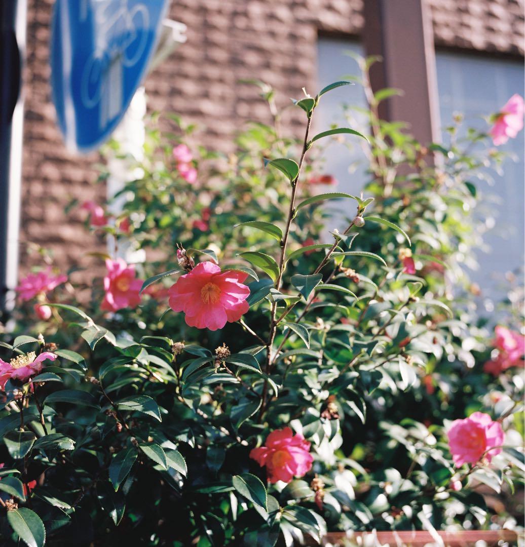 ローライフレックス ROLLEIFLEX 3.5F Planar 75mm
