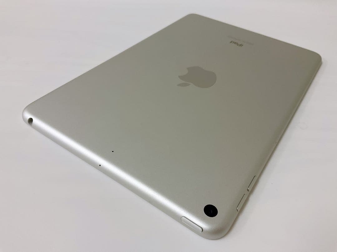 【美品】iPad mini 第5世代64GB Wifiモデル 付属品完備