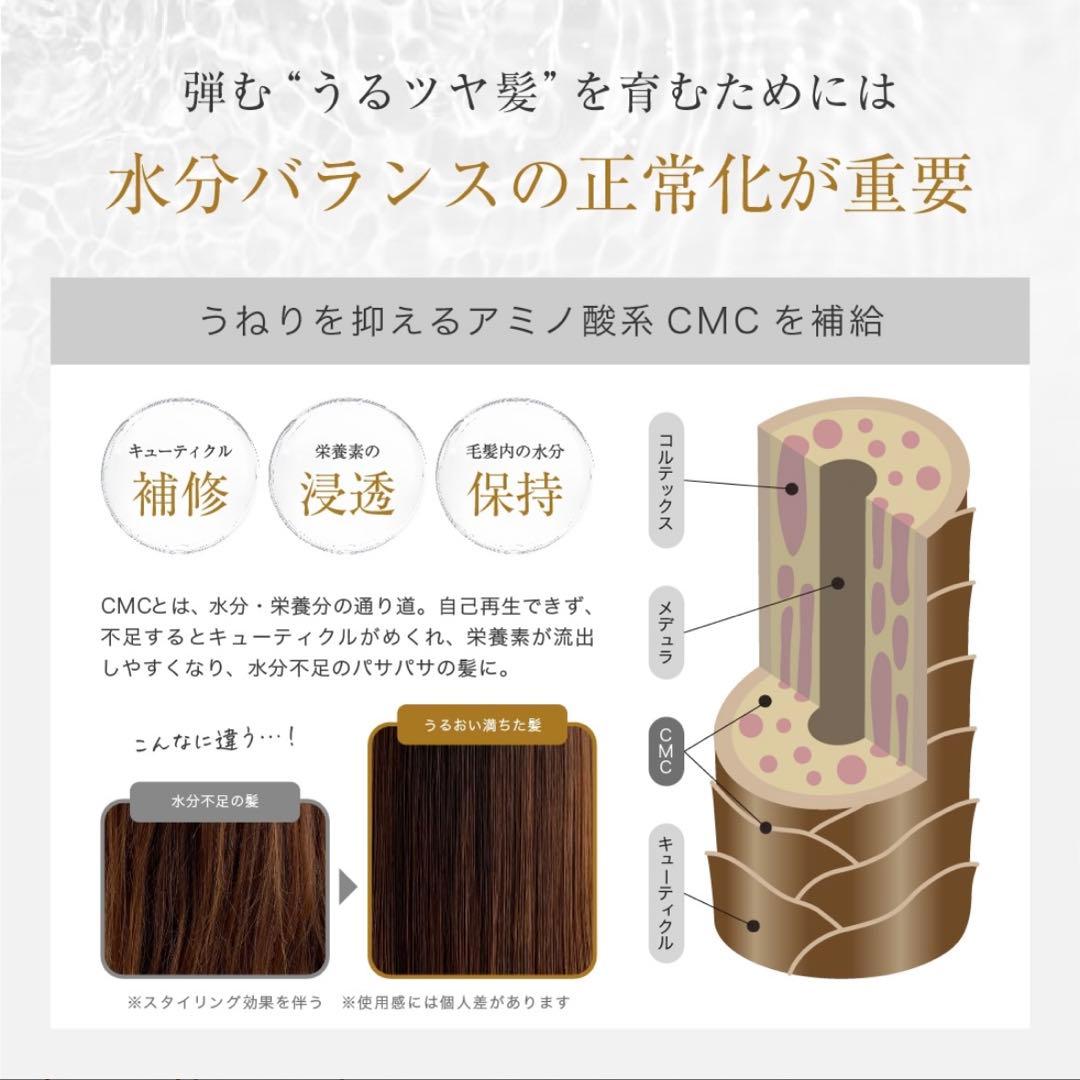 【新品/未使用】LUTY ルーティーシャンプー＆トリートメントスムース1セット