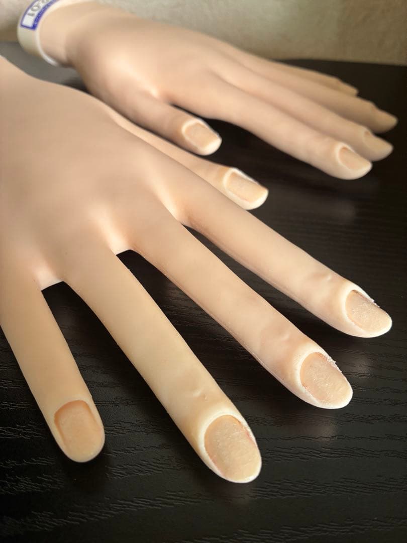 認定モデルハンド　骨折なし　ST MODEL HAND おまけ付き