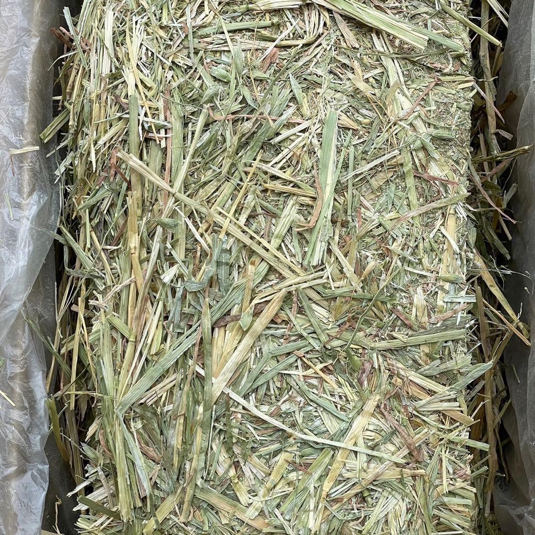 ★新着 オーツ29kg R6新物◼︎スーパープレミアム うさぎ 小動物 牧草