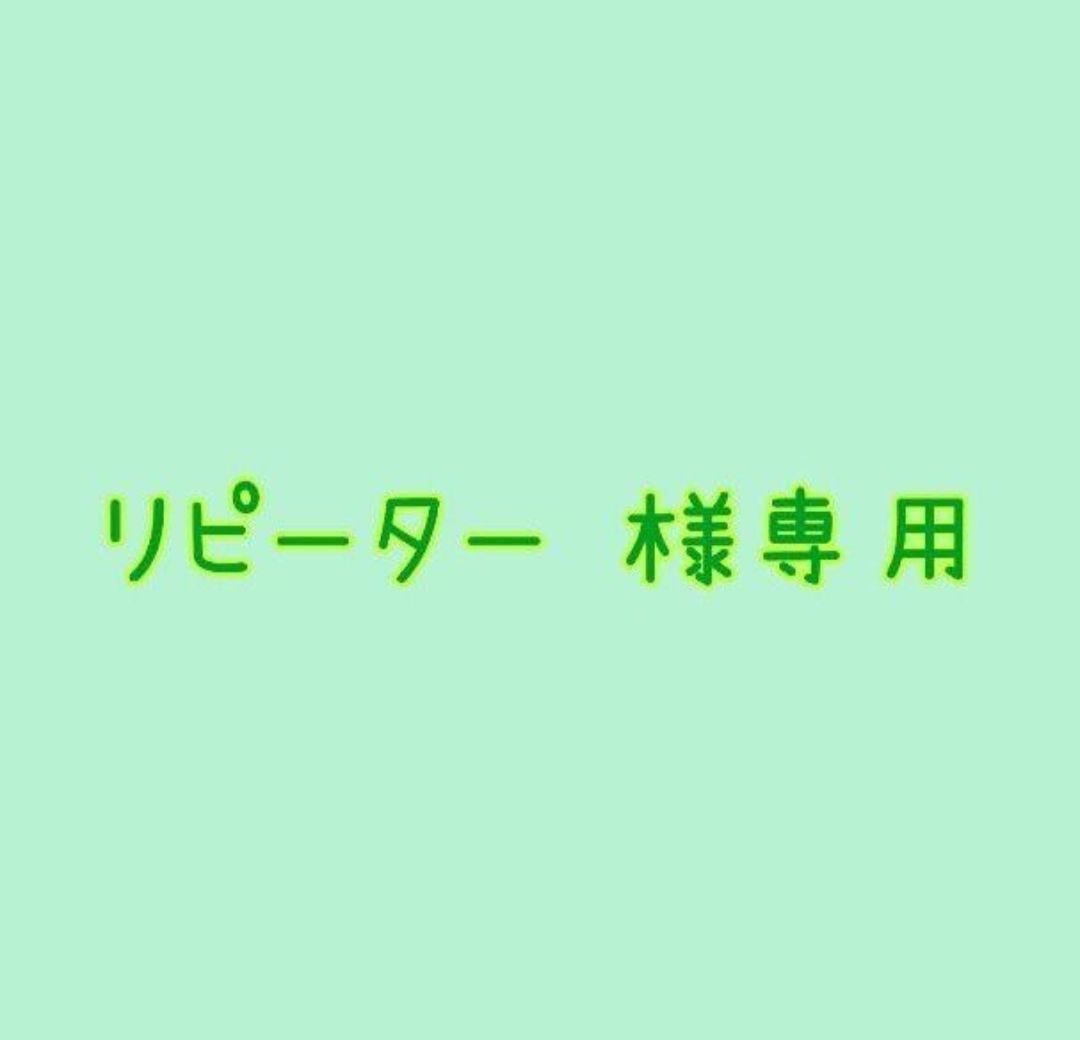 ⑫リピーターさま専用✨
