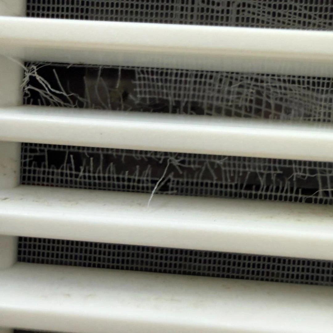 ★DAIKIN　空気清浄機　MC55X　2021年製