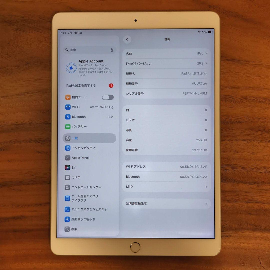 『美品・最大容量93%』iPad Air 第3世代 256GB『Wi-Fi版』