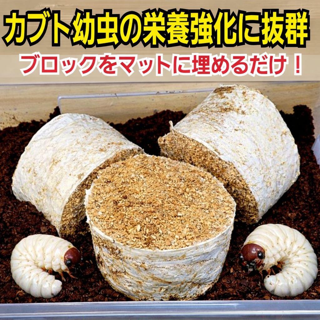 カブトムシ幼虫の栄養強化に！オオヒラタケ菌床【20ブロック】クワガタの産卵にも！