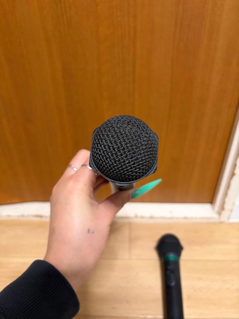 audio-technica AT-CLM700T 2本セット