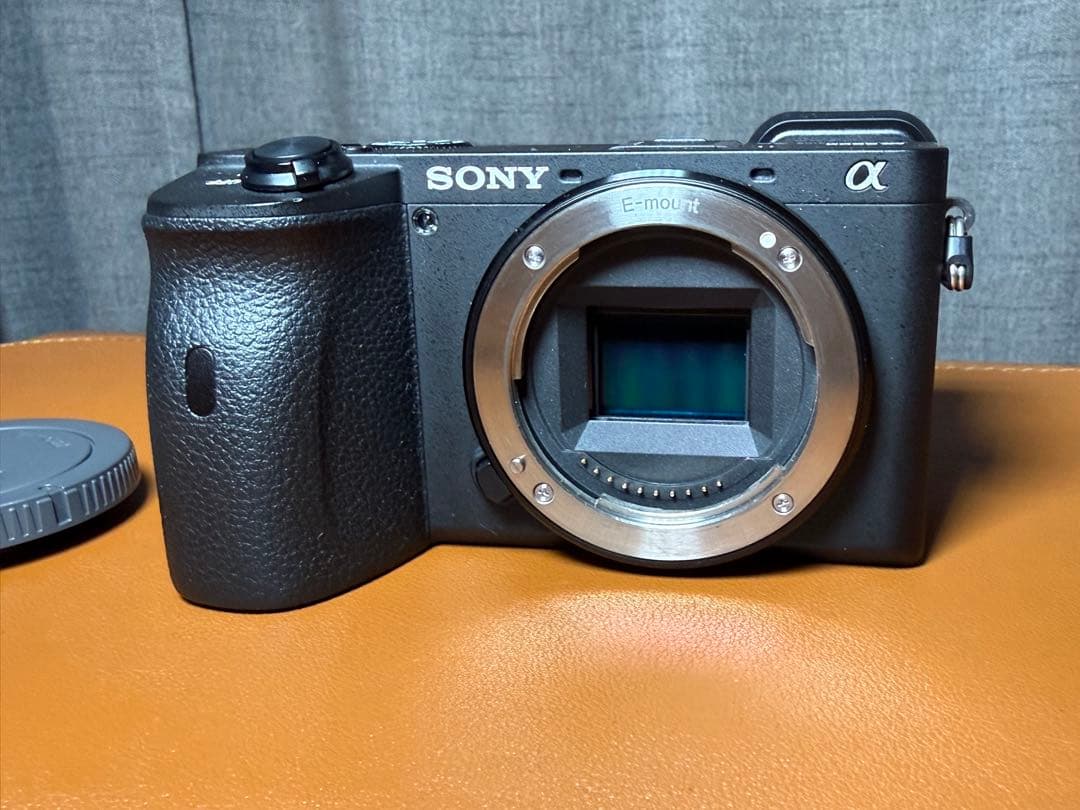 a6600 ＋単焦点レンズ2本セット　防湿庫保管