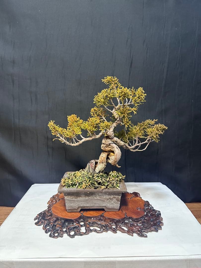 盆栽飾り台