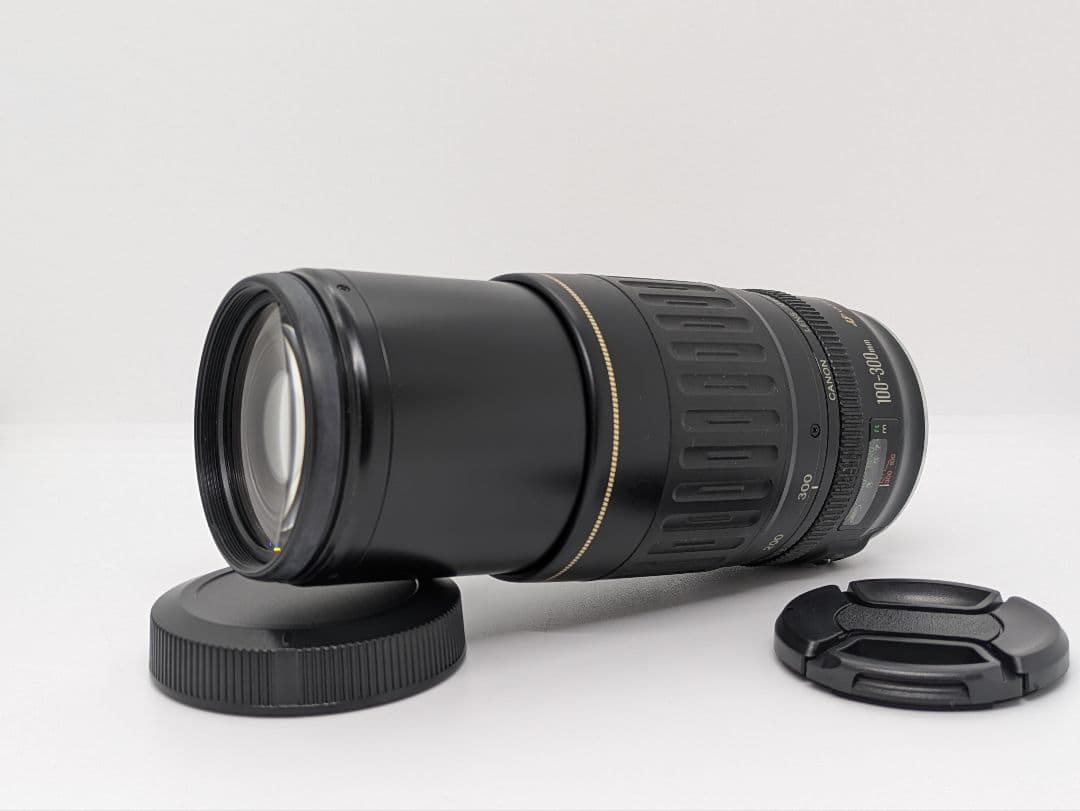 2月16日限定価格♪Canon EF 100-300mm USM
